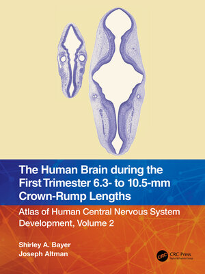 cover image of The Human Brain during the First Trimester 6.3- to 10.5-mm Crown-Rump Lengths